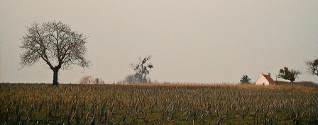 divers_0560.jpg