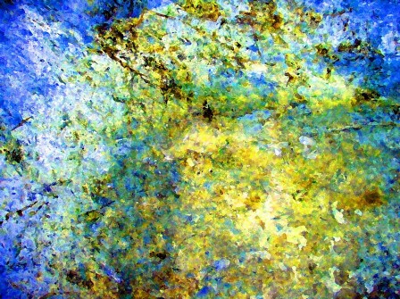 PP2932-1.jpg