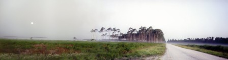 Ph. ?? - Forêt Orléans.jpg